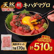 天然 キハダマグロ 海鮮丼 170g×3P 冷凍 赤身 海鮮 マグロ まぐろ 鮪 刺身 小分け 真空パック お手軽 夕食 晩御飯 ランチ  惣菜 おかず おつまみ 自宅用 家庭用  贈答 ギフト お歳暮 訓栄丸水産 高知県 室戸市	