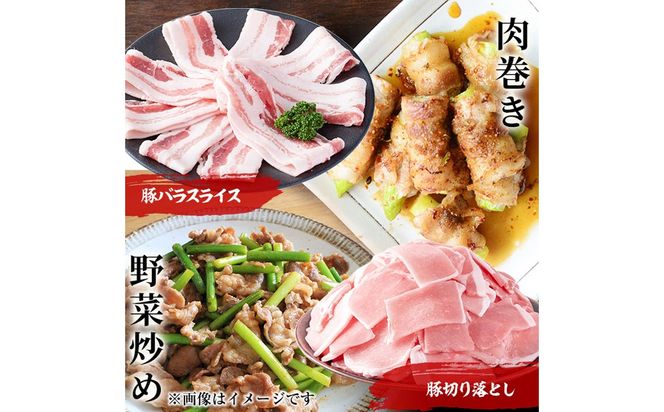 小分け・真空パック!九州産豚肉3種(計3.1kg)  a5-319