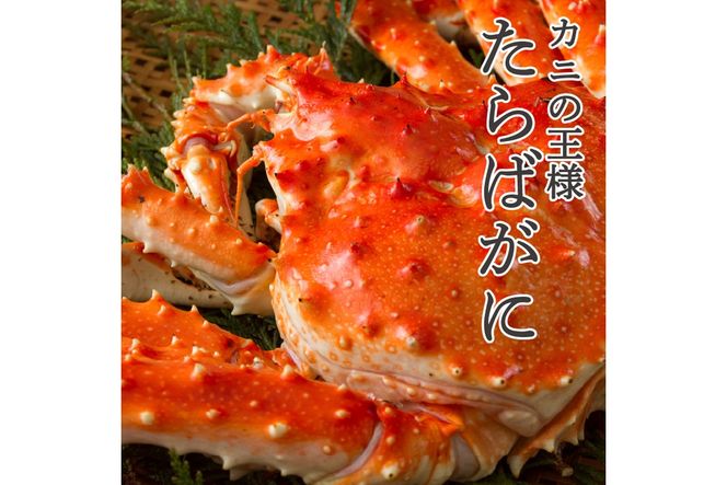 【予約：2026年12月から順次発送】オホーツク産 たらばがに 姿 1.8kg～2.0kg 冷凍 ( たらば タラバ カニ かに 蟹 魚介類 海鮮 北海道 旨味 一尾 )【114-0090】