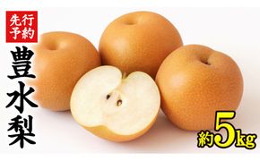 《 先行予約 》 茨城県産 梨 豊水 （約 5kg）【 2026年 9月上旬頃より発送開始 】 梨 なし 果物 フルーツ 新鮮 旬 期間限定 甘い 国産 [CK002us]