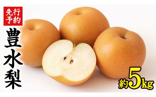 《 先行予約 》 茨城県産 梨 豊水 （約 5kg）【 2026年 9月上旬頃より発送開始 】 梨 なし 果物 フルーツ 新鮮 旬 期間限定 甘い 国産 [CK002us]