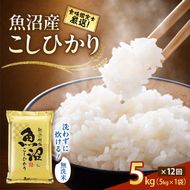 【令和8年産 先行予約】無洗米「12カ月定期便」食味鑑定士厳選！５ｋｇ×12回 白米 安心 安全 こだわり 米 コシヒカリ 定期 新潟県 十日町市