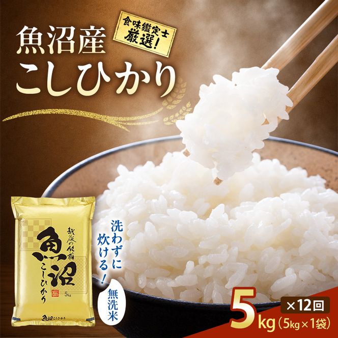 【令和8年産 先行予約】無洗米「12カ月定期便」食味鑑定士厳選！５ｋｇ×12回 白米 安心 安全 こだわり 米 コシヒカリ 定期 新潟県 十日町市