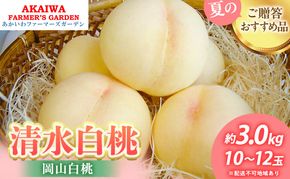 桃 2026年 先行予約 清水 白桃 約3.0kg 10～12玉 もも 岡山県 赤磐市産 フルーツ 果物 あかいわファーマーズガーデン 果物類