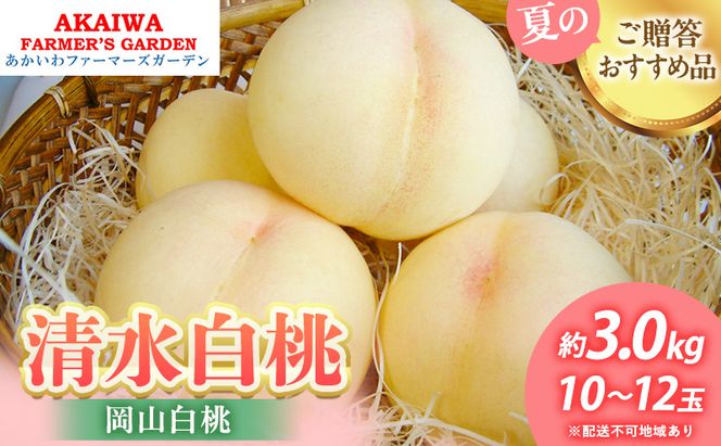 桃 2026年 先行予約 清水 白桃 約3.0kg 10～12玉 もも 岡山県 赤磐市産 フルーツ 果物 あかいわファーマーズガーデン 果物類
