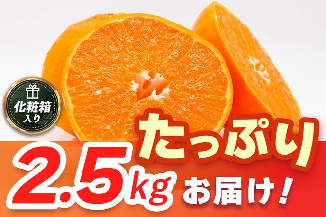 【2027年2月上旬より発送開始】【麗紅】はまさき 2.5kg【みかん 一級品 柑橘 フルーツ デザート】(H116144)