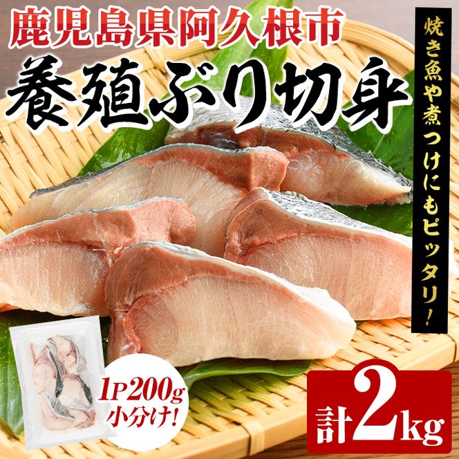 養殖ぶり切身(約2kg) 鹿児島県 阿久根市 ブリ ぶり 鰤 魚貝 魚介 海産物 切身 切り身 煮物 煮つけ 焼き魚 おかず おつまみ 小分け 【さるがく水産】akn028-45
