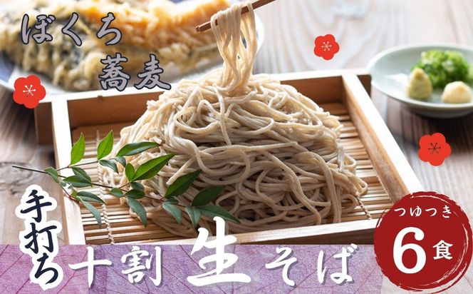 信州産 手打ち 生そば「信州十割ぼくち蕎麦」6食セット そばつゆ付  (Bf-002) 
