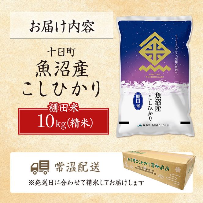 魚沼産こしひかり 棚田米(十日町地域) 精米 10kg(5kg×2) 米 お米 コシヒカリ 十日町市