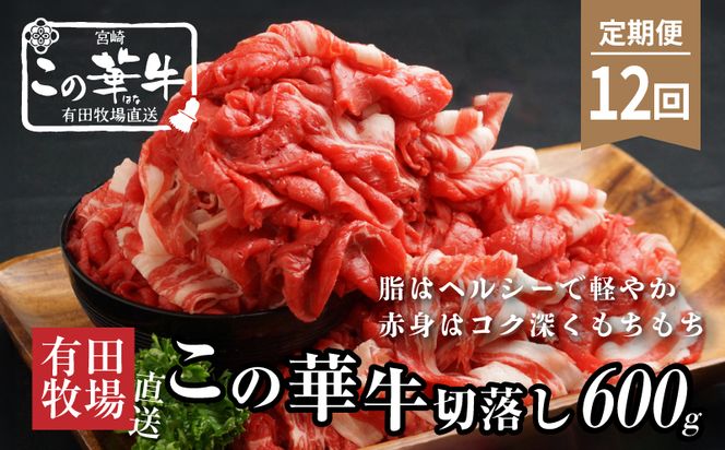 有田牧場直送 この華牛切り落とし600g 12ヶ月定期便_K20_T003_2