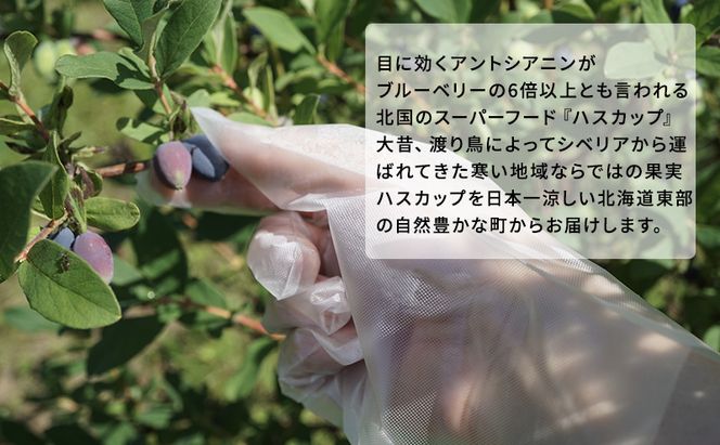 厚岸ハスカ 冷凍 ハスカップ 3kg 果物 