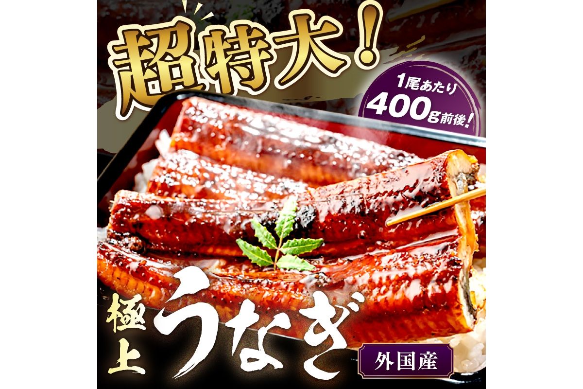 [定期便 隔月×3回]超特大!ふっくら肉厚!うなぎ蒲焼 1尾 400g前後