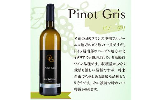 【OcciGabi Winery】おススメ黒ラベルシリーズ６本セット 【余市のワイン】 ワイン 紅白ワイン 赤白ワイン 赤ワイン 白ワイン ワインセット ワイン6本 人気ワイン 北海道のワイン_Y012-0098