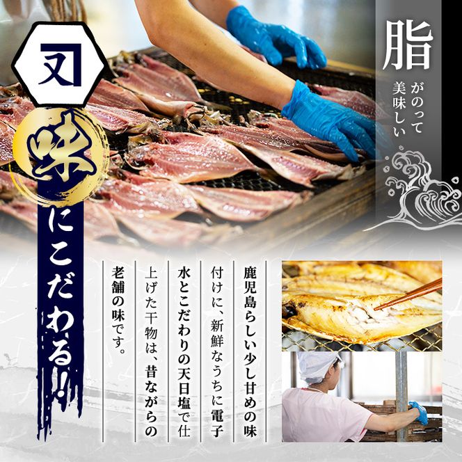 鹿児島県産！干物詰め合わせ＜8種＞国産 九州産 鹿児島産 干物 ひもの 乾物　鯛 タイ 鯵 アジ かます いか きびなご ウルメ あおさのり セット 詰合せ【又間水産】akn001-06