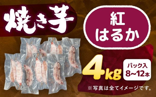 選べる品種/ 焼き芋 紅はるか 4kg (8〜16本) さつまいも 焼きいも おやつ 愛西市 / 就労継続B型事業所ヤシの木[AEDG008]