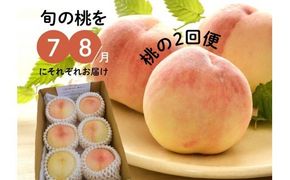 旬の桃の食べ比べを楽しむ、桃の２回便！(定期便) (岡山県産) きよとうファーム 【2026年先行予約】【KF-T025-01】