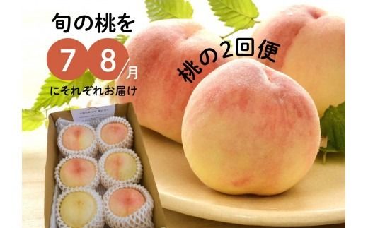 旬の桃の食べ比べを楽しむ、桃の２回便！(定期便) (岡山県産) きよとうファーム 【2026年先行予約】【KF-T025-01】