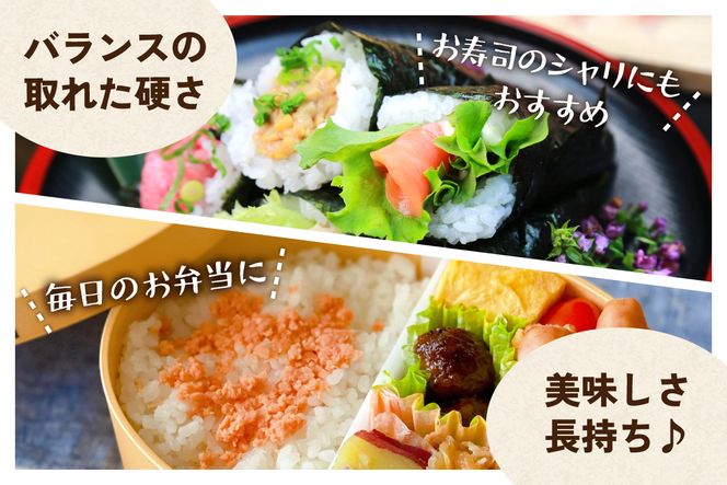 北海道 留萌管内産 ななつぼし 白米 3kg 特A おいしい 産地直送 精米 白米 お米 人気 送料無料 北海道産 R004-029