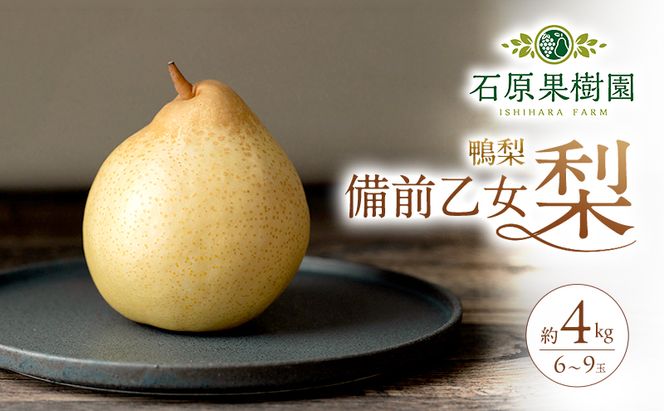 梨 2026年 先行予約 備前乙女梨（鴨梨） 6～9玉 合計約4kg【11月下旬～12月中旬頃発送】ナシ なし 岡山県産 国産 フルーツ 果物 ギフト 石原果樹園 