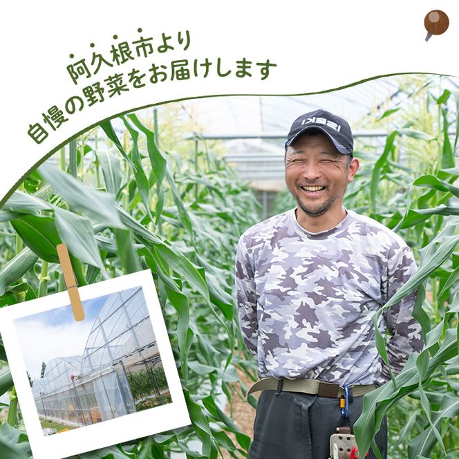 ＜先行予約受付中！2026年5月下旬以降順次発送予定＞とうもろこし ゴールドラッシュ(15本) 国産 旬 野菜 青果 トウモロコシ 期間限定【笹原正樹】akn094-01