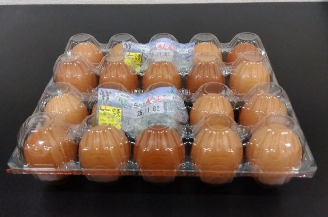 たまご JA上伊那 カミーちゃん 赤たまご 20個＋割れ保障10個付き（MSサイズ）｜ 卵 赤卵 20個 JA上伊那 伊那市 長野県 信州 ふるさと納税【008-24】