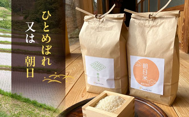 品種お任せ 令和7年産 ホタル舞う里山の棚田米 無洗米 精米10kg ひとめぼれ2kg又は朝日2kgを計5袋