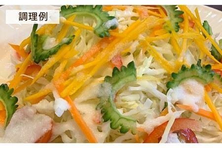 糸島そだちの 白い 玉ねぎ 生ドレッシング（285ml×1本）《糸島》【農香美人】 [AAG012] ドレッシング ボトル 栽培期間中 農薬不使用 野菜 お試し