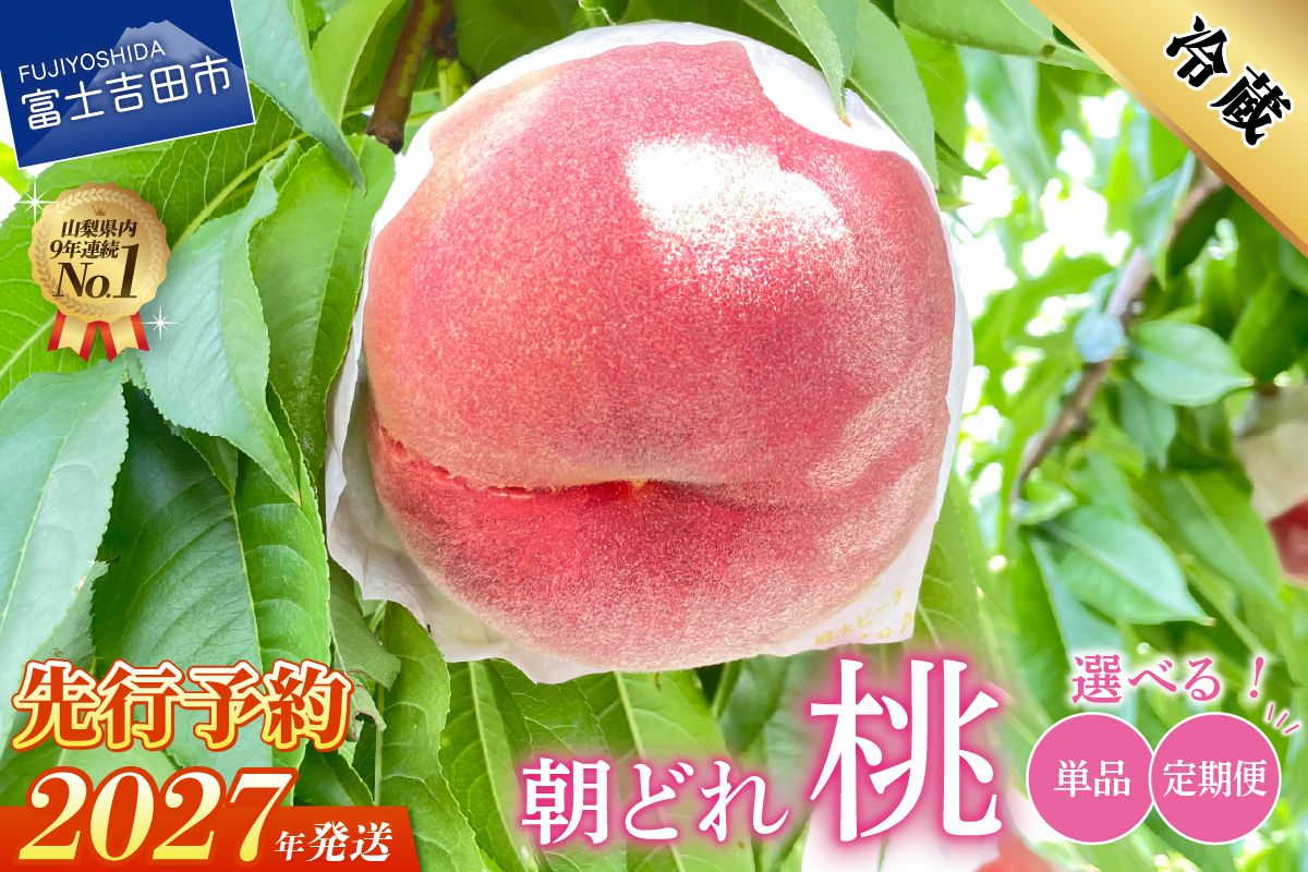 [2027年発送 先行予約]山梨の朝どれ桃2kg [単品 定期便 が選べる] もも 大玉 4玉〜7玉 山梨県産桃 果物 くだもの 果物 フルーツ 山梨 富士吉田