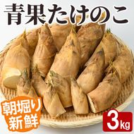 ＜先行予約受付中！2027年2月下旬以降順次発送予定＞ 【土日祝着】朝堀り青果たけのこ(約3kg) 国産 新鮮 タケノコ 青果 竹の子 筍 野菜 春 旬 期間限定 数量限定 【上野食品】akn008-19-B