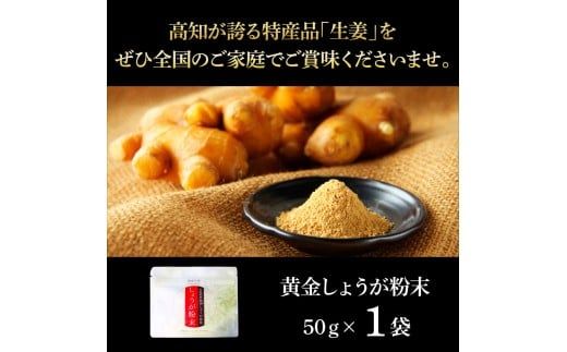 【CF-R7hbk】黄金しょうが粉末50g×1袋 - しょうが ショウガ 生姜 生姜パウダー 坂田信夫商店 黄金しょうが 高知 国産 料理 紅茶 しょうが湯 健康 美容 ふるさとのうぜい 故郷納税 3000円 返礼品