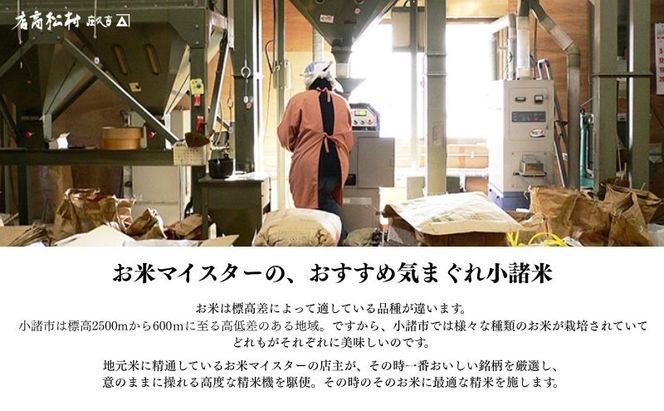 お米マイスターおすすめ小諸米 精米 10kg 信州 長野 ごはん ご飯 コメ コシヒカリ あきたこまち つきあかり 風さやか ひとめぼれ ゆうだい21