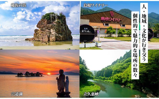 島根県 出雲市 後から選べる 旅行クーポン（900,000円分） 旅行券 宿泊券 322032_EV005