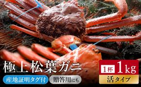 【kinosaki spa&gardens　湯楽使用】タグつき 活松葉ガニ　約1kg