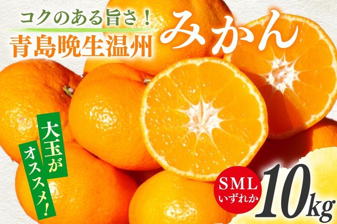 【期間限定発送】 みかん 10kg コクのある甘さ うまぁ〜い！！青島晩生温州みかん S・M・Lいずれか [黒田農園 宮崎県 日向市 452061305] 果物 フルーツ ミカン 蜜柑 柑橘 贈答用