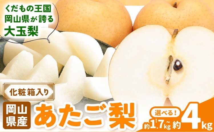 [2026年先行予約]あたご梨 選べる内容量 約1.7kg (2玉) 約4kg (3-6玉) 化粧箱入り 株式会社山博[11月下旬-12月下旬頃出荷]岡山県 笠岡市 なし 梨 ナシ 愛宕梨 果物 大玉 岡山県産 国産 送料無料[配送不可地域あり]---Y-37a---