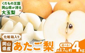 【2026年先行予約】あたご梨 選べる内容量 約1.7kg (2玉) 約4kg (3-6玉) 化粧箱入り 株式会社山博《11月下旬-12月下旬頃出荷》岡山県 笠岡市 なし 梨 ナシ 愛宕梨 果物 大玉 岡山県産 国産 送料無料【配送不可地域あり】---Y-37a---