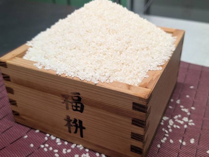 【令和7年産】【無洗米】コシヒカリ5kg 茨城県常総市産 精米｜米 お米 白米 ご飯 コメ こめ こしひかり