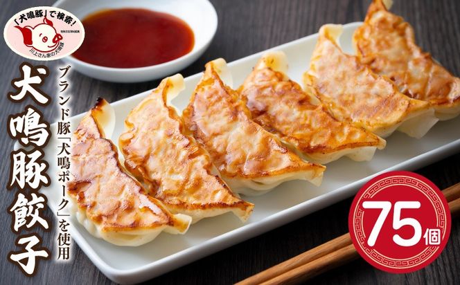 099H3920 【泉佐野ブランド豚】犬鳴豚餃子 75個【国産 豚肉 泉佐野ブランド豚 犬鳴ポーク】
