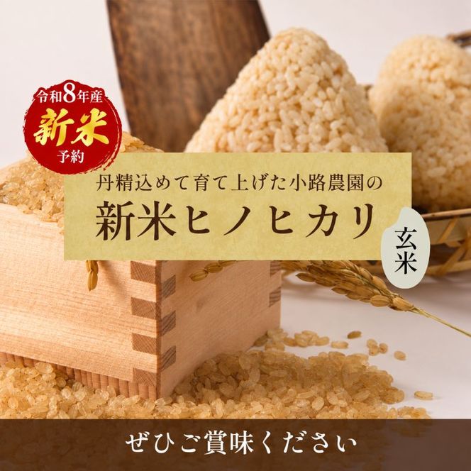 令和8年産　新米「ヒノヒカリ」30kg（玄米） お米 30kg 