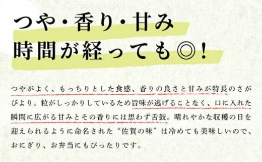 《先行予約》《2025年11月発送》 令和7年産 さがびより（精米）5㎏