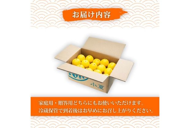 【2026年5月より発送】 熟成 露地小夏 5kg | 柑橘 フルーツ 果物 期間限定 旬の果物 ご家庭用 生産者 農家 直送 高知県 室戸市