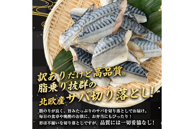 y{茧쒬z󂠂聄 É 肳ΐ؂藎Ƃ (500g)  ؂g I  Ȃ  Jbg Ă ȒP tC  CN Ⓚ ٓ  yKI-22zyC`}HiHz