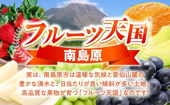 【年6回 奇数月コース】果物屋が選ぶ旬のフルーツ定期便 いちご メロン ハウスみかん 梨 柿 など / 南島原市 / 贅沢宝庫 [SDZ021]