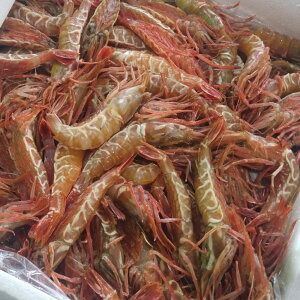 【ふるさと納税】山陰の地 エビ塩辛 3種類 お味見 食べ比べ セット エビ 海老 えび モサエビ ガラエビ ドロエビ スジエビ シマエビ オニエビ 塩辛 おつまみ つまみ 国産 兵庫県 新温泉町 送料無料