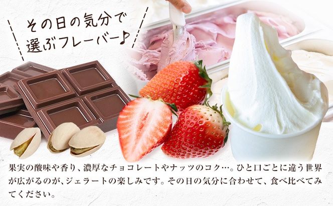 ジェラート アイス スイーツ SANAGOCHI GELATO 6個 または 12個 株式会社クリスティーヌ 《30日以内に出荷(土日祝除く)》 徳島県 佐那河内村 お菓子 ご褒美 プレゼント いちご チョコ ピスタチオ ミルク 【配送不可地域あり】(離島)---sanagouchi_kst_1_6k---