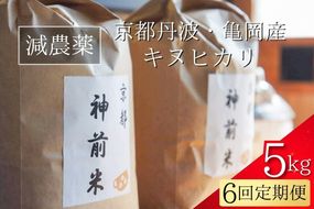 【令和7年産】新米 先行予約 5kg ×6回 京都・神前米 キヌヒカリ 5kg × 6ヶ月 計30kg ☆精米したてをお届け ※2025年9月下旬以降順次発送 ≪減農薬 自家栽培米 生産農家 直送 米 精米 クリーン白米≫