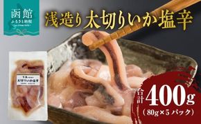 浅造り 太切りいか塩辛 80g×5パック_HD087-031