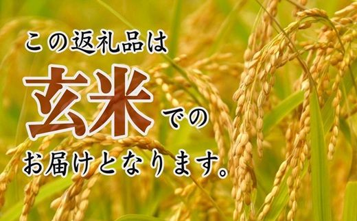 コシヒカリ玄米 10kg ( 米 お米 こめ コメ おこめ 白米 玄米 コシヒカリ玄米 こしひかり コシヒカリ 令和7年産コシヒカリ 松阪市産コシヒカリ 三重県 松阪市 ) 【002110A】