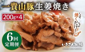 【全6回定期便】焼くだけ定番おかず！一貴山豚 生姜焼き 4パック 糸島市 / いきさん牧場 [AGB017] 生姜焼き 冷凍 焼くだけ 子供 豚肉 福岡 ブランド豚 豚肉
