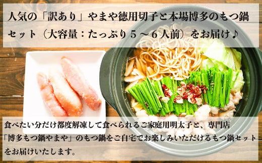 もつ鍋 明太子 やまや 訳あり 6回 定期便 もつ鍋セット 5人前 訳あり明太子 1kg [やまやコミュニケーションズ 福岡県 宇美町 um40azo860014] 博多 明太子 めんたいこ 牛もつ モツ鍋 牛ホルモン
